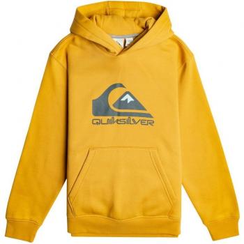Sudadera Deportiva Con Capucha Quicksilver Big Logo Youth B