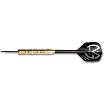 XQ MAX (Adultos Michael Van Gerwen Original Brass Steel Dardos en 23 Gramos, Green, 1