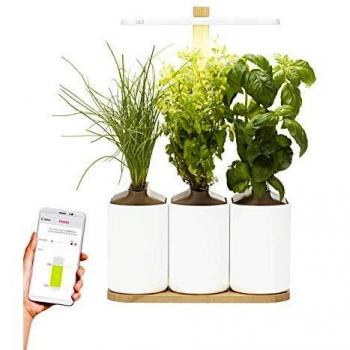 Lilo Connect, el huerto de interior conectado de Prêt à Pousser - Cultiva todo el año con facilidad - Incluye albahaca, menta y cebollino