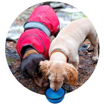 Trespass Sippy Trespaws - Cuencos plegables de viaje para perro