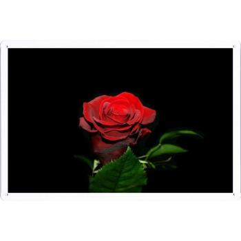 Metal cartel Cartel de chapa Hojalata sesión Flower Tin Sign Rose Flower Bud Black Background 41006 Retro Vintage Pared Decoración by hamgaacaan