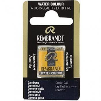 Rembrandt Watercolour Half Pan GAMBOGE