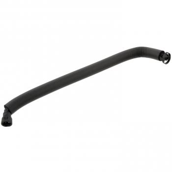 Febi Bilstein 36031 Bloque de Motor