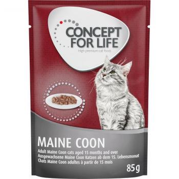 Concept for Life Maine Coon Adult en bolsitas - Pack económico 48 x 85 g