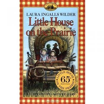 Psychiatric Mental Health Nursing Little Housethe Laura Years
