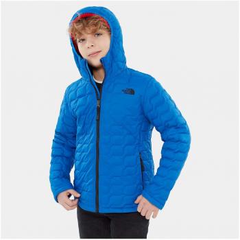 The North Face Kids TNF Sudaderas, Niños, Turkish Sea, L