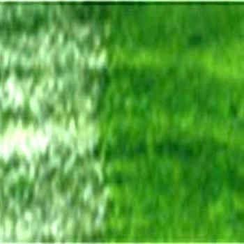 Derwent Inktense Agua Color Lápiz * Spring Green 1550