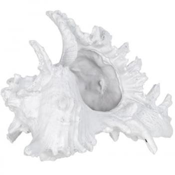 Figura Decorativa Concha Marinero Blanca - 12x20x17 cm
