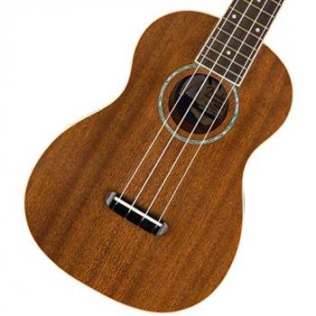 Fender Zuma Concert Ukulele - 16 Frets, Nato Neck, Rosewood Fingerboard, Natural Finish