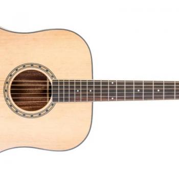 Peavey Delta Woods DW-2 Top Dreadnought Guitar Solid, Peavey Delta Woods CNS-2 Classical Nylon String Acoustic Guitar