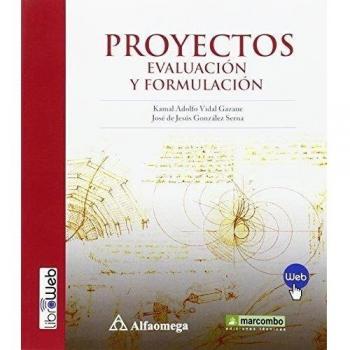 Proyectos. Evaluación Y Formulación