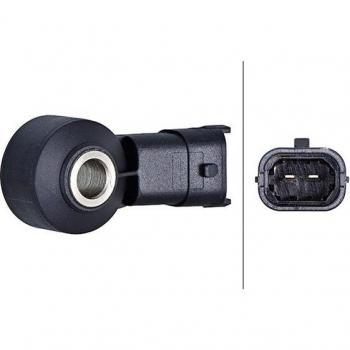 Sensor de detonaciones HELLA 6PG 013 114-441