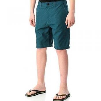 Pantalones Cortos Niños Fox Essex Tech Heather Azul
