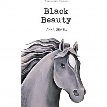 Libro Black Beauty - novela clásica, autor Anna Sewell, tapa dura, 256 páginas, ilustraciones originales, edición especial para coleccionistas