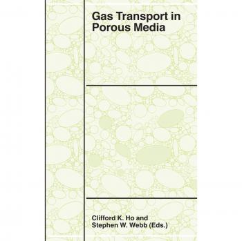 Porous Media Gas Transport: Theory and Applications (Volume 20)
