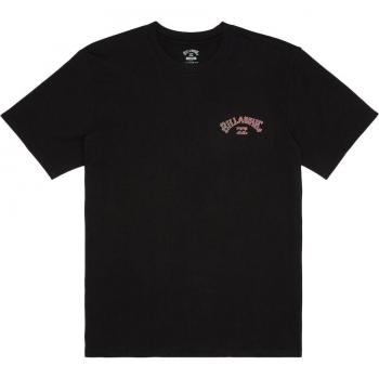 Camiseta de Manga Corta Billabong Arch Fill para niños en color negro