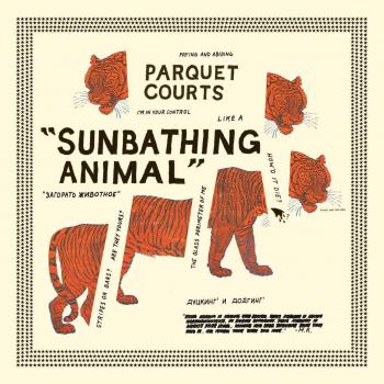 Sunbathing Animal [Vinilo]