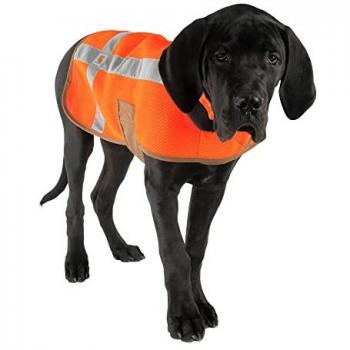 Chaleco de Seguridad para Perros Carhartt - Naranja XL