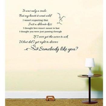 Jamie Lawson Wasn't expecting that Song Lyrics Wedding Song Wall Art Sticker
