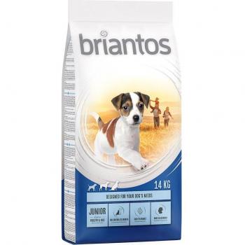 Briantos Junior Young & Fit Dog Food - 14 kg