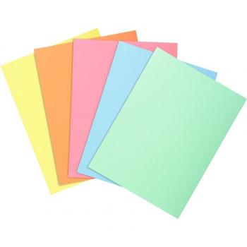 300 Subcarpetas de papel Super - Exacompta 850300E - 60 g/m2