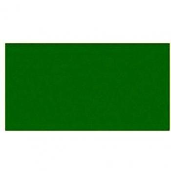 Canson 8422714038162 - 25 hojas cartulinas, 50 x 65, 185 g, color verde