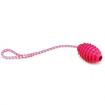 ARQUIVET Juguete Rosa con Tirador termoplástico para Perros - 10 cm - Juguetes para Perros de Razas pequeñas y Medianas - Mordedor para Perros - Dog Toys - Cuerda Tirador