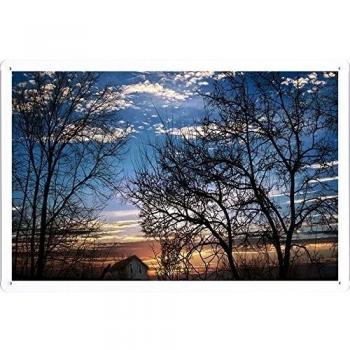 Metal cartel Cartel de chapa Hojalata sesión Branches Trees Sunset Evening Dusk Sky Clouds House Slope 48058 Retro Vintage Pared Decoración by hamgaacaan