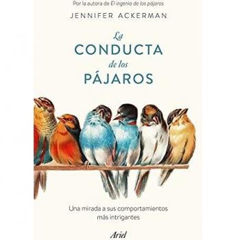 La conducta de los pájaros: Una mirada a sus comportamientos más intrigantes