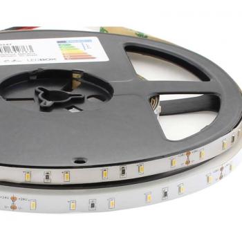 LEDBOX Tira LED Monocolor SMD3014 de 5 metros con 60 LEDs por metro, resistente al agua IP68 y alimentación DC24V en color blanco frío