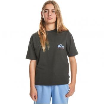 Quiksilver Camiseta De Manga Corta Take Us Back