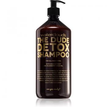 Waterclouds The Dude Daily Detox Shampoo 1000 ml