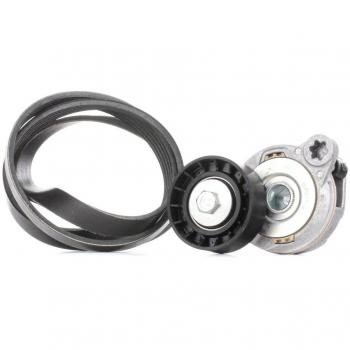 Kit de correas trapeciales Poli V INA 529 0375 10 para VOLVO