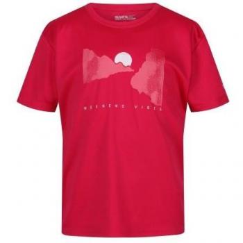 Camiseta Alvarado VII Sol para Niños/Niñas de Regatta - Características: Protección solar, tejido ligero y transpirable, secado rápido, diseño cómodo y moderno, ideal para actividades al aire libre