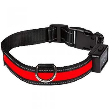 Num'axes 01830602 Collar Eyenimal con USB Rojo - M