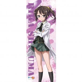 Boku wa Tomodachi ga Sukunai Life-size Tapestry Shiguma Rika