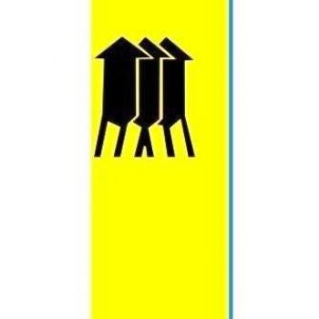 Porto velho Bandera 20x30cm para Diplomat-Flags Banderas de Coche