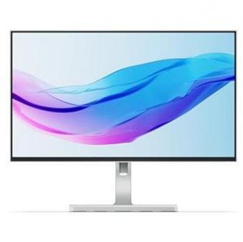 Monitor Lenovo L24m-4A 23,8 FHD IPS 1920 x 1080 Pixeles Gris