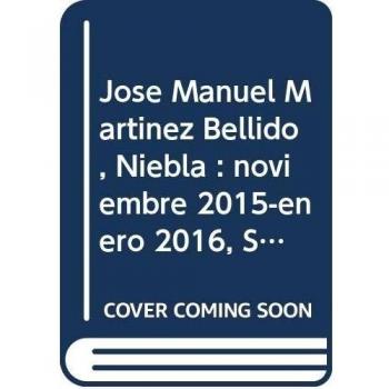 Niebla: noviembre 2015 - enero 2016, Sala Santa Inés, Sevilla