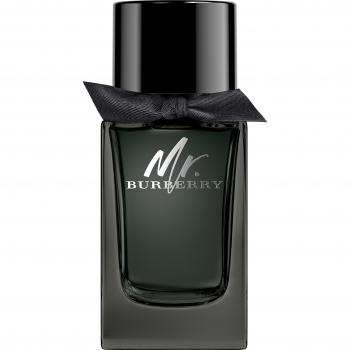 Burberry - Mr. Burberry Eau de Parfum Spray, 100ml