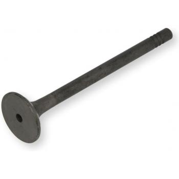 Válvula de escape FRECCIA R6467/RNT / IPSA VL173300 Válvula de escape - Válvula de escape para sistemas de evacuación, compatible con modelos FRECCIA y IPSA, diseñada para mejorar la