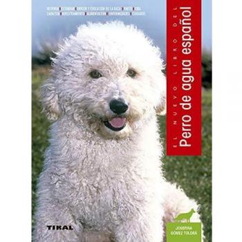 Perro de agua español.
