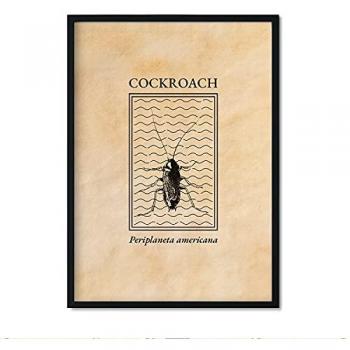 Lámina Vintage de Cucaracha en Estilo Grabado y Tonos Sepia - Póster Decorativo A4 para Interiores