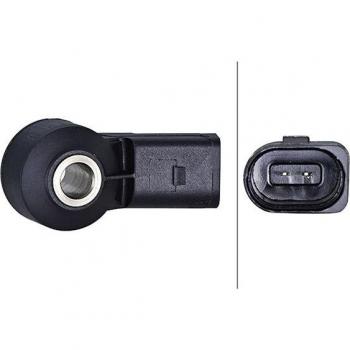 Sensor de detonaciones HELLA 6PG 013 114-301