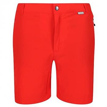 Regatta Men's Water-Repellent Mountain II Hiking Shorts - Agave Green, Size 36