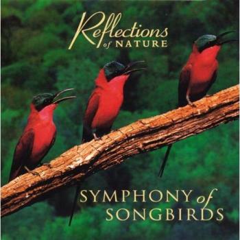Symphony of songbirds
