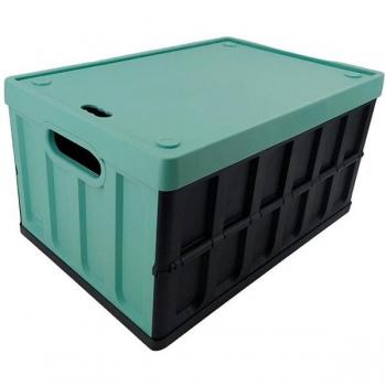 Caja multiusos Tontarelli 46L verde y negro