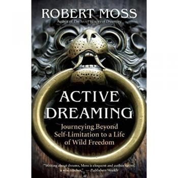 Active Dreaming: Journeying Beyond Self-limitation to a Life of Wild Freedom