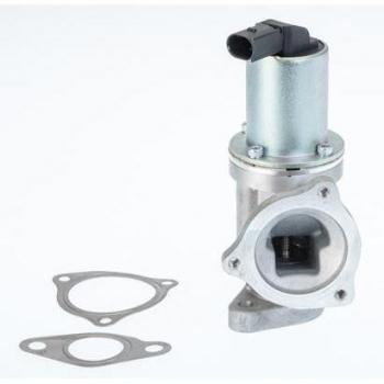 Válvula EGR BorgWarner Wahler 711031D