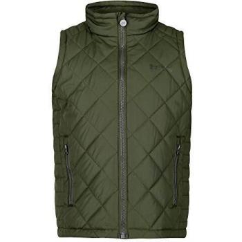 Regatta Zion-Chaleco Térmico con Aislamiento, Completamente Forrado Y Acolchado con Diseño De Rombos Bodywarmers, Unisex niños, Racing Green, 9-10
